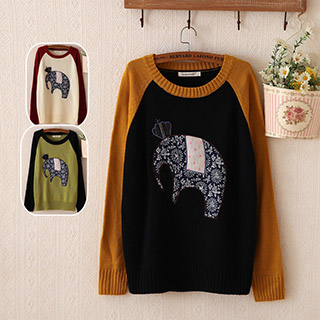 fu01_4258 인도코끼리 니트배색 스웨터